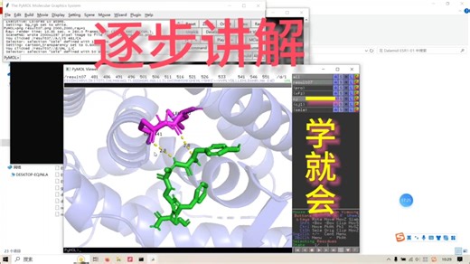 逐步讲解 | pymol分子对接可视化