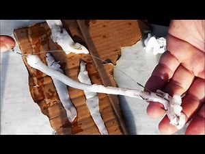 Ψαρεμα Σκαθαρια με λουριδες καλαμαρι