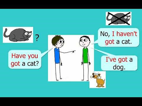 The Verb Have got. Memovoc page 73.