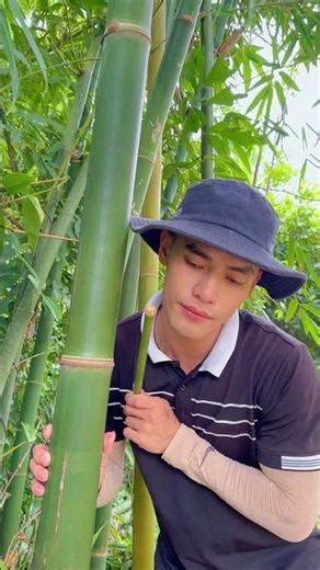 Survival Skills: How to Get Water from a BAMBOO Tree 💧💧#bamboo #survival #outdoor