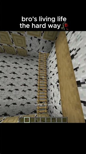 Minecraft Debug Stick Moment