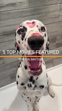 5 TOP MOVIES THAT FEATURE THE DALMATIAN. #dalmatiandog #dalmatianlove #dogmovies #dogloversdog