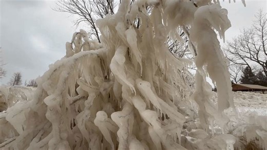 Icicles coat trees in Michigan during winter storm
