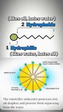 Science behind cleaning your clothes | The science behind surfactants: Soaps, Detergents and Shampoo