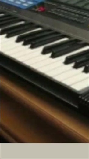 Uzicko kolo uzivo na na sintisajzeru opopopopop