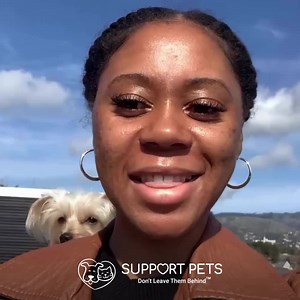 2.5K reactions · 595 shares | Get qualified to live and travel anywhere with your pet in 3 easy steps (even if they have a “no pets” policy). Qualify online and instantly! Get doctor approval in 48 hours (or less). | Support Pets | Facebook