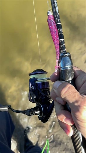 Shuffling through the low tide winter mud with my Piscifun and casting by faith lures. ￼