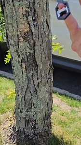 Check out the Adjustable Hex Wrench! (AHW-600) Ideal for quick tightening or loosening hexagonal nuts, bolts, and hardware of different sizes. The AHW-600 features include: - Adjustable hexagonal head on one end for hardware ranging from 6 - 13 mm - Adjustable hexagonal head on the other end for hardware ranging from 1/4" - 9/16" - Works on various fastener types: 6-point, 12-point, square, E-Torx, triangle, and more - Constructed from ultra-strong carbon steel with black oxide finish Offering A