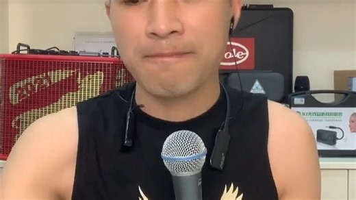 舒尔KSM3851专业动圈有线话筒，家用K歌直播舞台演出都适用，声音清晰稳定，抗反馈强，适合各种场合使用，音质出众，满足多样需求。