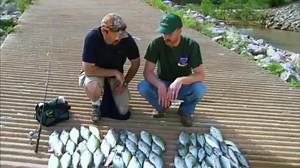 View the new upcoming episode of Outdoor Oklahoma on OETA at 8 a.m. on Sunday. We celebrate the diversity and quality of fishing in Oklahoma. We visit with biologist as they show us what the Department is doing to enhance fishing, as well as, showing us some tips on how to catch the "big one". | Oklahoma Department of Wildlife Conservation (ODWC)