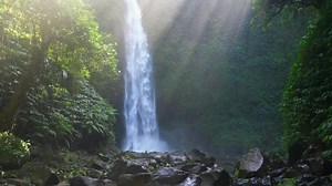 Waterfall Hidden Tropical Rainforest Jungle Stock Footage Video (100% Royalty-free) 1061649835 | Shutterstock