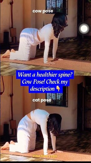 Cow Pose Benefits You Need Today! 🧘‍♀️✨ (Check My Description) #usa #shortvideo