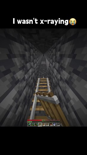 ‏I wasn't x-raying😭#minecraft #foryoupage❤️❤️ | x ray minecraft