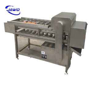 [Hot Item] Hot Selling Corn Cutter Corn Silage Cutting Machine