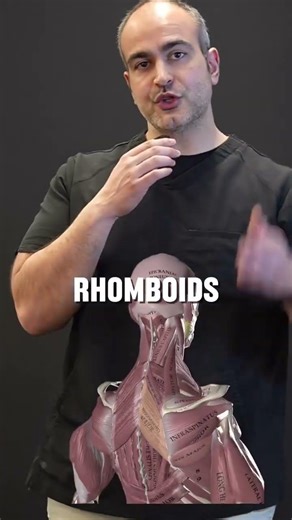 Pain between your shoulder blades? (Rhomboid pain) 👇 That deep, annoying ache right in the middle