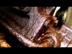 F250 power stearing leak