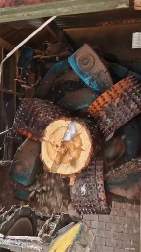 machine for peeling bark