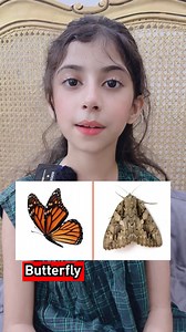 Look similar but actually different #learn #english #englishteacher #vocabulary #englishlearning #learnwithparishay | Learn With Pari