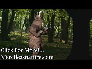 Bear Furry Vore Animation