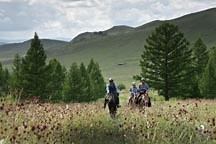 Mongol Derby boasts its biggest field so far - Horse & Hound