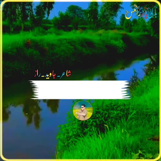 bali___yaar on TikTok