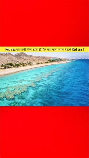 Why Is The Red Sea Called Red? The Truth Will Shock You 😱