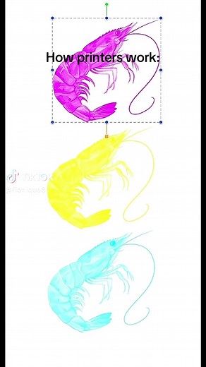 Understanding How Printers Work: Thermal Technology