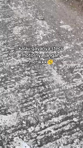 Motor Metik: Gaya dan Performanya di Jalanan