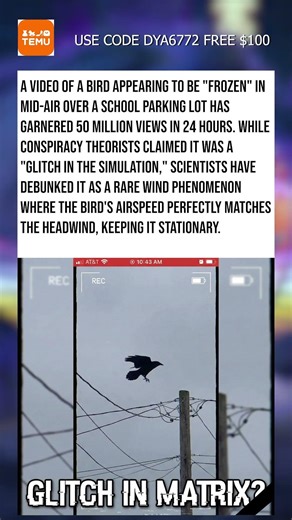 "Frozen Bird" Glitch Debunked