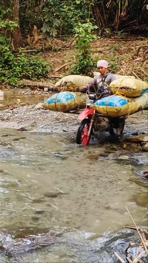 No Bridge , No Easy Way #youtubevideo #youtubeshorts #shortsfeed #shortsbeta #highlights