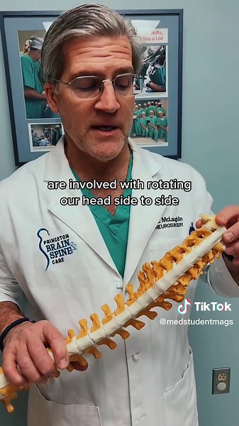 Cervical Radiculopathy Explained: Neck Pain & Arm Pain