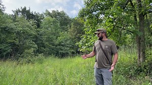 1.2K views · 49 reactions | Kyle Lybarger of the Native Habitat...