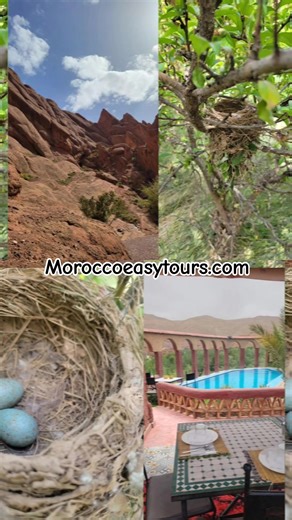 Morocco Easy Tours sur TikTok