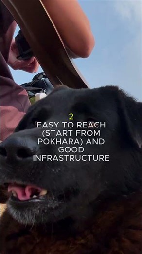 🌸 Why Is Annapurna Called Nepal’s Most Magical Region? #annapurna