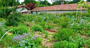 Pays basque : une première formation en permaculture organisée cet été à Bayonne et Larressore