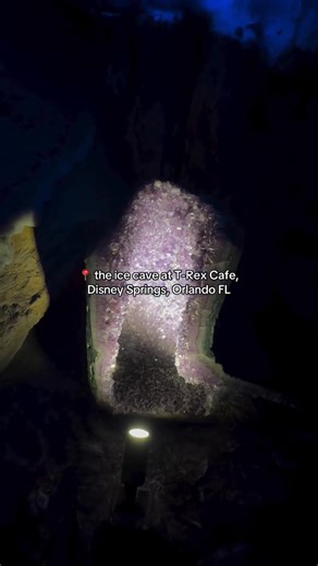 Dining in our Ice Cave is an experience all its own! 🥶 | T-Rex Cafe