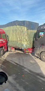 Driving Lessons (@driving_lessons)’s videos with original sound - Driving Lessons