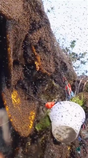 . . . . . . #JigsawPuzzle #PuzzleSolving #LogicPuzzle #BrainGames #PuzzleLovers #puzzlegame ... | Viral Side