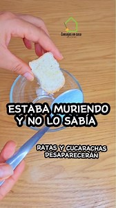 Dile Adiós a las ratas y cucharachas #tips #cucaracha #trucos | Consejos en Casa