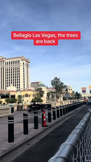 Bellagio Las Vegas: Trees Returned for the Season