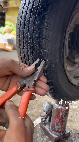 Discover Amazing Facts You Didn't Know