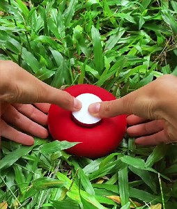 1M views · 658 reactions | How to get rid of pests! Creative projects for your backyard | 3-Minute Hacks | Facebook