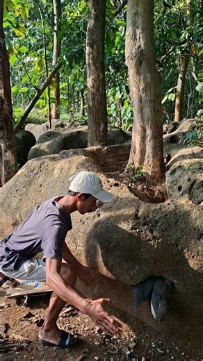 clever technique🐣 #shortvideo #nature #viralshort