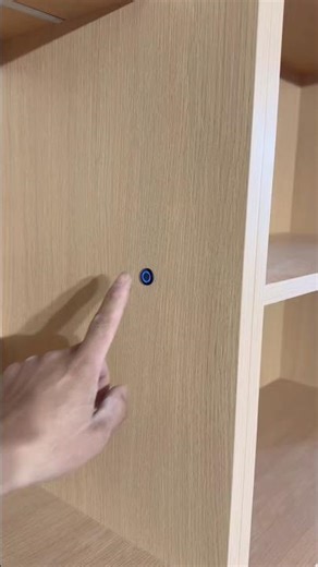 LED Installation for Display Cabinet | Final Wooden Interior Finish