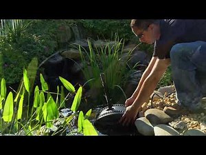 Complete Filter Kit with Pump