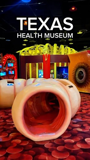 The Museum of Health is a fun interactive activity for the whole family. We were able to take our daughter on an awesome field trip in Houston, Texas. There’s no better way to learn! - - - - - - Fun things to do in Houston. The Health Museum Houston. Houston Interactive Museum. Houston Fun. HTX. | The Texas Family