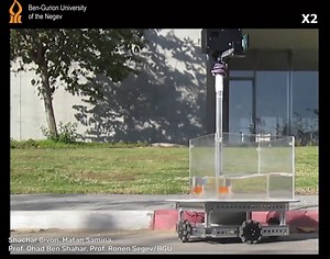 127K views · 1.6K reactions | These goldfish can drive themselves around. Find out how (and why) here: https://ifls.online/3zqO7JG Video credit: Shachar Givon, Matan Samina, Prof. Ohad Ben Shahar, Prof. Ronen Segev/BGU | IFLScience | Facebook