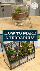 Unleash your creativity and add greenery to your living space by following these steps on how to make a #terrarium in a jar. #diy #diyterrarium | Family Handyman