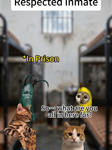 🐱 MEMES:The Least Respected Inmate #catmemes #tooreal #plottwis #emotionalstory #catmemes