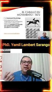 El Caballo en Movimiento (1872) | El Experimento Revolucionario de Eadweard Muybridge